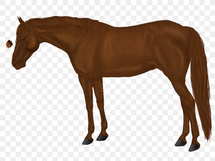 Arabian Horse Mane Mustang Stallion Foal, PNG, 900x675px, Arabian Horse, Animal Figure, Arabian Horse Association, Bit, Bridle Download Free