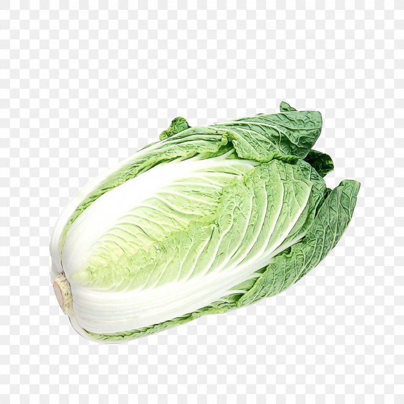 Cabbage Vegetable Leaf Vegetable Romaine Lettuce Savoy Cabbage, PNG, 2953x2953px, Watercolor, Cabbage, Chinese Cabbage, Food, Leaf Download Free