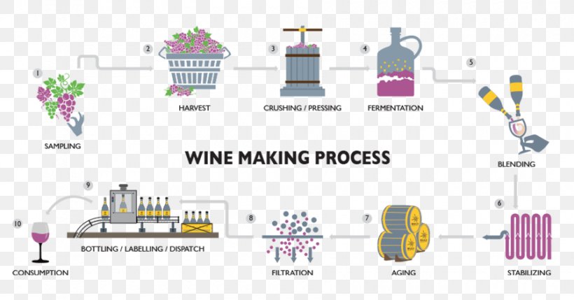 Winemaking Sula Vineyards Indian Wine Red Wine, PNG, 900x471px, Wine, Area, Bottling Line, Brand, Diagram Download Free