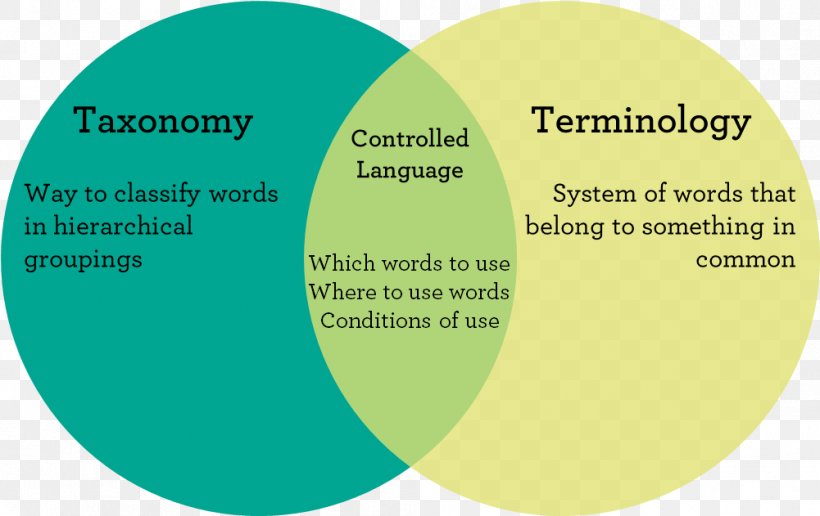 Controlled Vocabulary Dictionary Taxonomy Word, PNG, 1001x631px, Controlled Vocabulary, Brand, Chorionic Villus Sampling, Controlled Natural Language, Definition Download Free