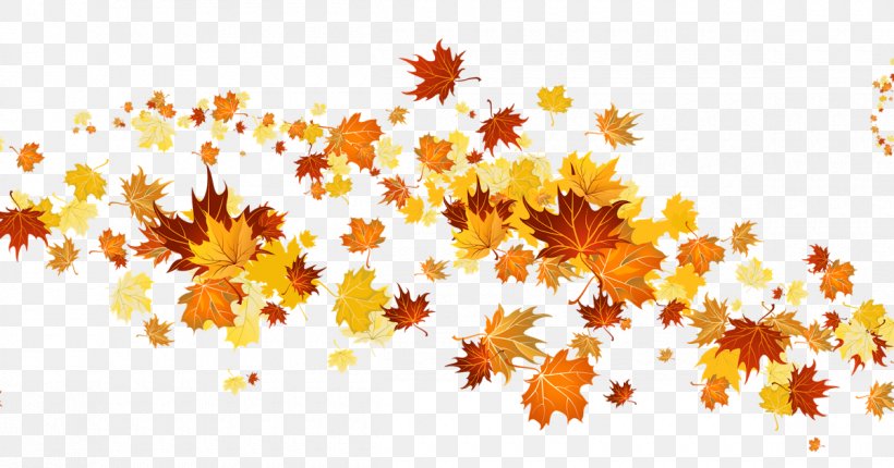Clip Art Autumn Leaf Color Image Autumnal Leaves, PNG, 1200x630px, Autumn Leaf Color, Autumn, Branch, Flora, Flower Download Free