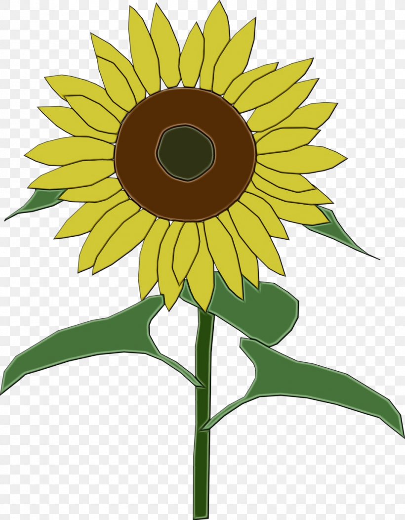 Sunflower, PNG, 958x1230px, Watercolor, Flower, Flowering Plant, Paint, Petal Download Free