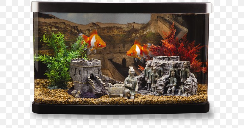 Aquarium Goldfish Siamese Fighting Fish Ornament, PNG, 700x430px, Aquarium, Aquariums, Fin, Fish, Fresh Water Download Free