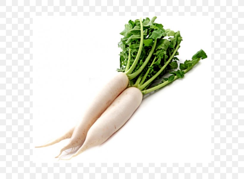 Daikon Dal Root Vegetables Food, PNG, 600x600px, Daikon, Cabbage, Carrot, Chard, Choy Sum Download Free