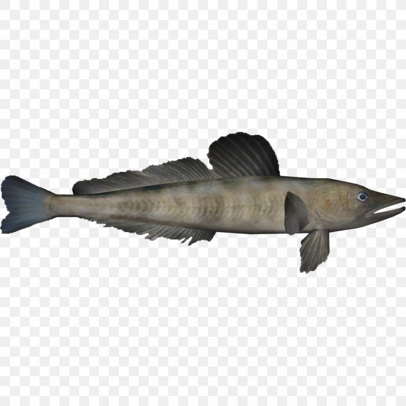 Mackerel Icefish Channichthyidae Animal Zoo Tycoon 2, PNG, 988x988px, Mackerel Icefish, American Giant, Animal, Black Mongoose, Bony Fish Download Free