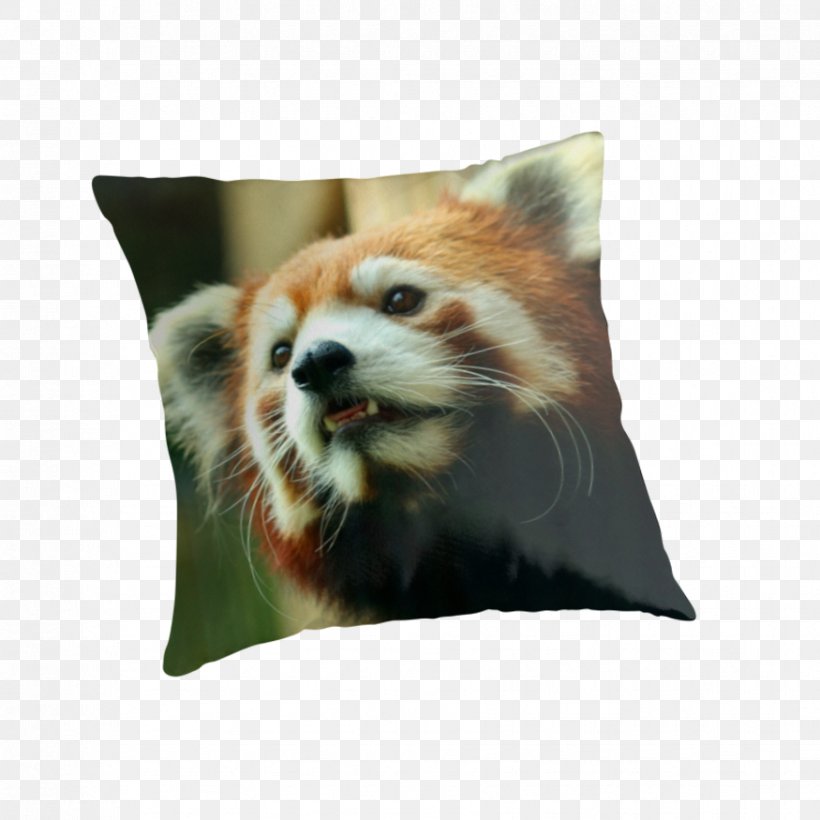 Red Panda Throw Pillows Cushion Whiskers Giant Panda, PNG, 875x875px, Red Panda, Carnivoran, Cushion, Fur, Giant Panda Download Free