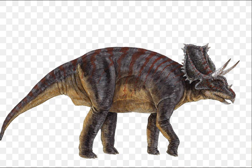 Chasmosaurus Ceratopsia Triceratops Microceratus Centrosaurus, PNG, 820x546px, Chasmosaurus, Carnotaurus, Centrosaurus, Ceratops, Ceratopsia Download Free