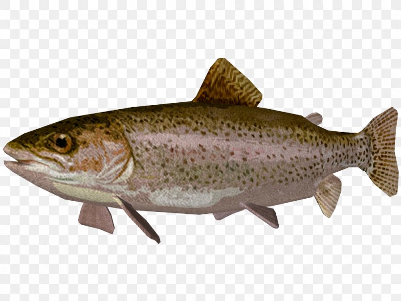 Coastal Cutthroat Trout Coho Salmon Rainbow Trout, PNG, 1000x750px, Coastal Cutthroat Trout, Bony Fish, Chinook Salmon, Cod, Coho Download Free
