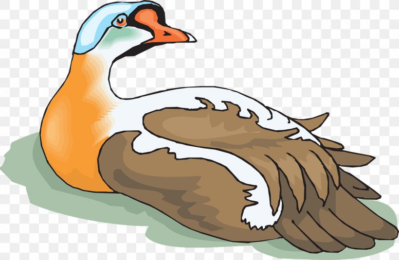 Greylag Goose Bird Duck Clip Art, PNG, 1280x836px, Goose, Animal, Beak, Bird, Color Download Free