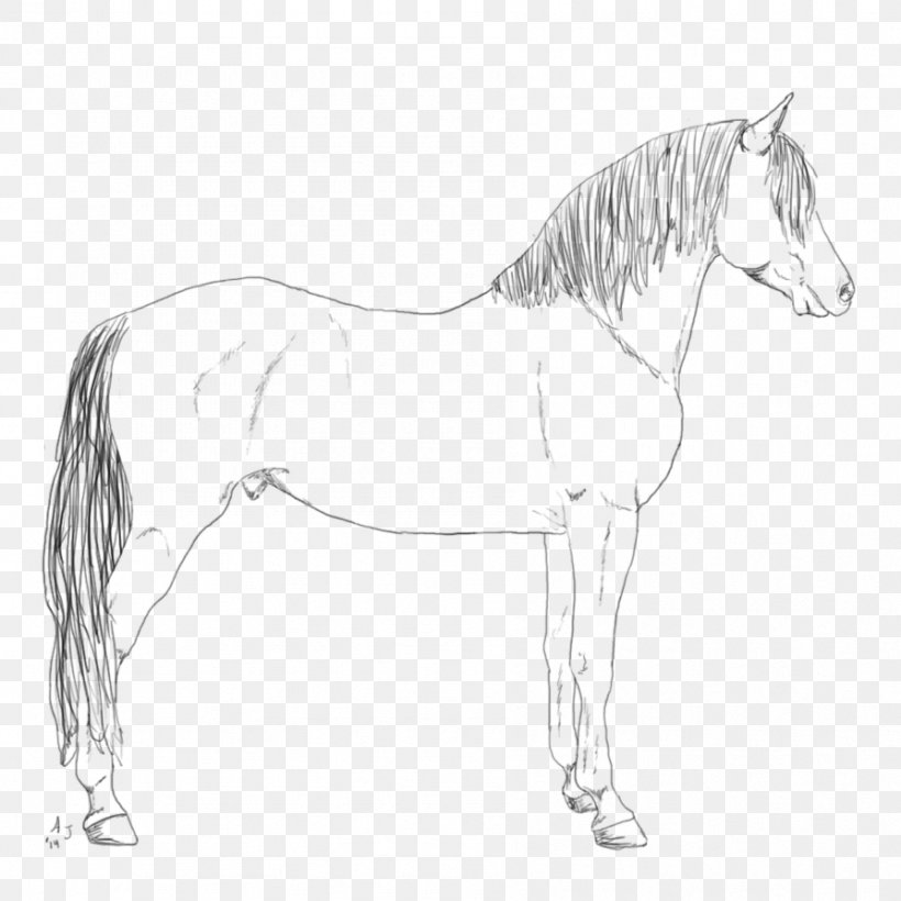Standing Horse Pony Line Art Sketch, PNG, 894x894px, Horse, Arm, Art, Artwork, Black And White Download Free