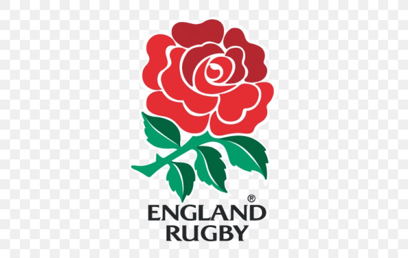 England National Rugby Union Team Rugby World Cup Australia National Rugby Union Team Scotland National Rugby Union Team Irish Rugby, PNG, 518x518px, England National Rugby Union Team, American Football, Area, Artwork, Australia National Rugby Union Team Download Free
