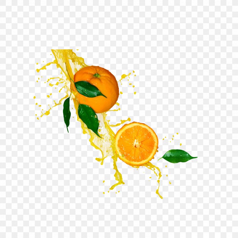 Orange Juice Lemonade Stock Photography, PNG, 2953x2953px, Orange Juice, Citrus, Drink, Flowering Plant, Food Download Free