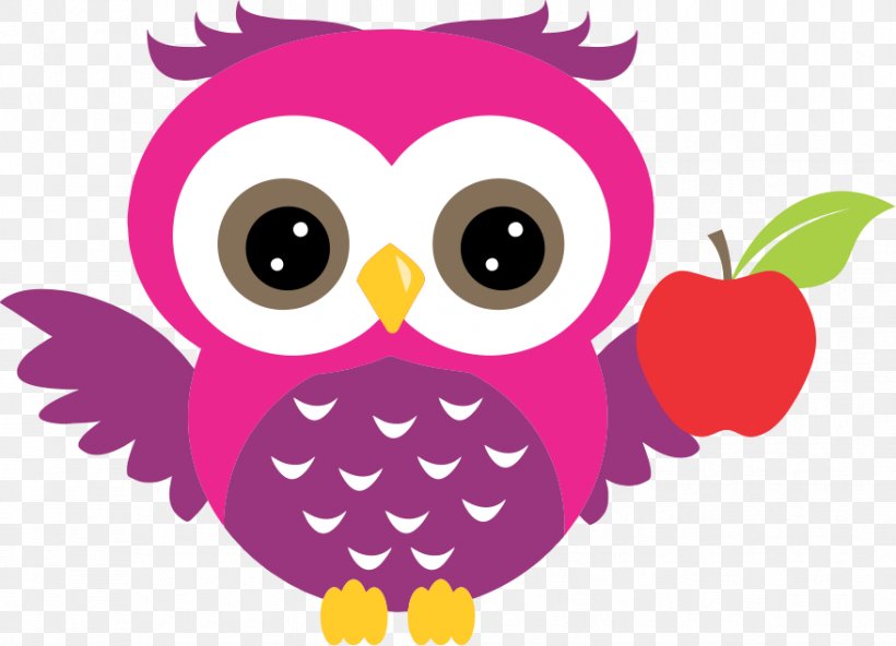Owl Clip Art Bird Image, PNG, 877x634px, Owl, Beak, Bird, Bird Of Prey, Cartoon Download Free