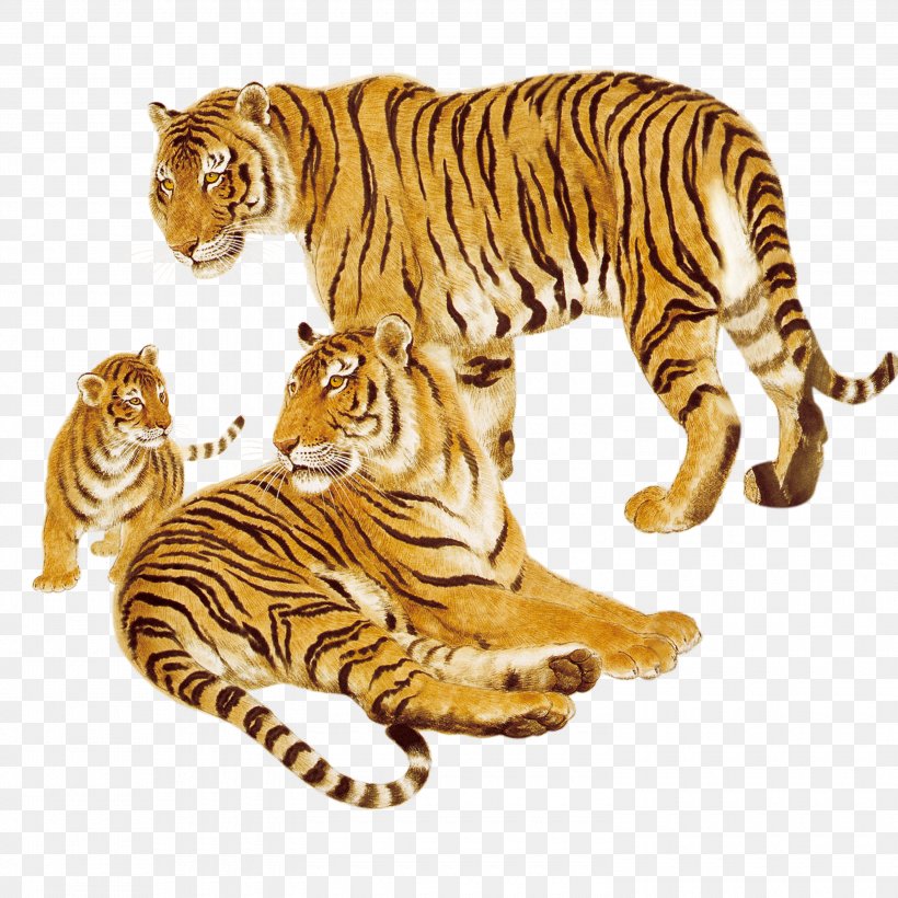 Tiger Animal Cat Wildlife, PNG, 3000x3000px, Tiger, Animal, Big Cat, Big Cats, Carnivoran Download Free