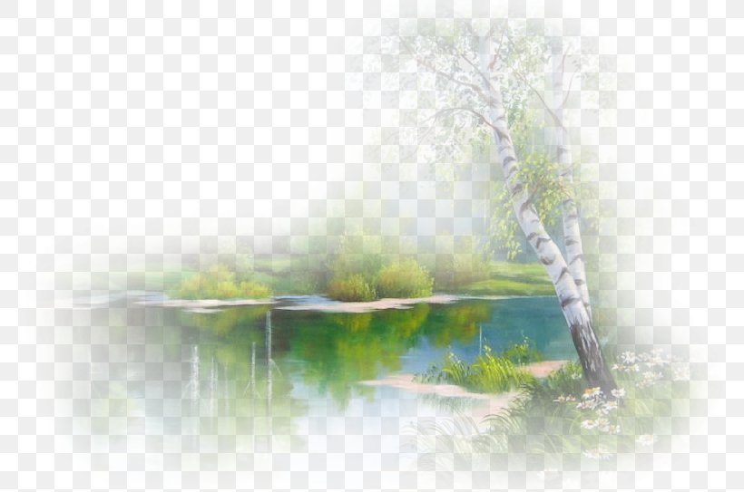 Watercolor Painting Water Resources Desktop Wallpaper Computer Close-up, PNG, 800x543px, Watercolor Painting, Closeup, Computer, Grass, Paint Download Free