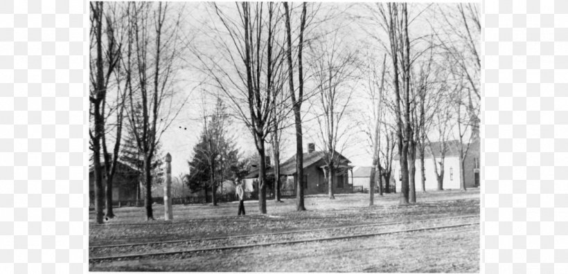 Worthington Historical Society Walking Tour At Walnut Grove Cemetery West New England Avenue Photography, PNG, 1147x555px, Photography, Bayou, Black And White, Cemetery, Exposition Download Free