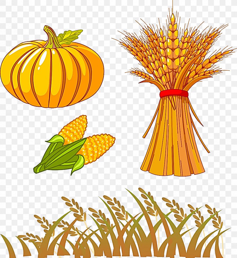 Autumn Drawing Clip Art, PNG, 913x994px, Autumn, Branch, Commodity, Cucurbita, Drawing Download Free