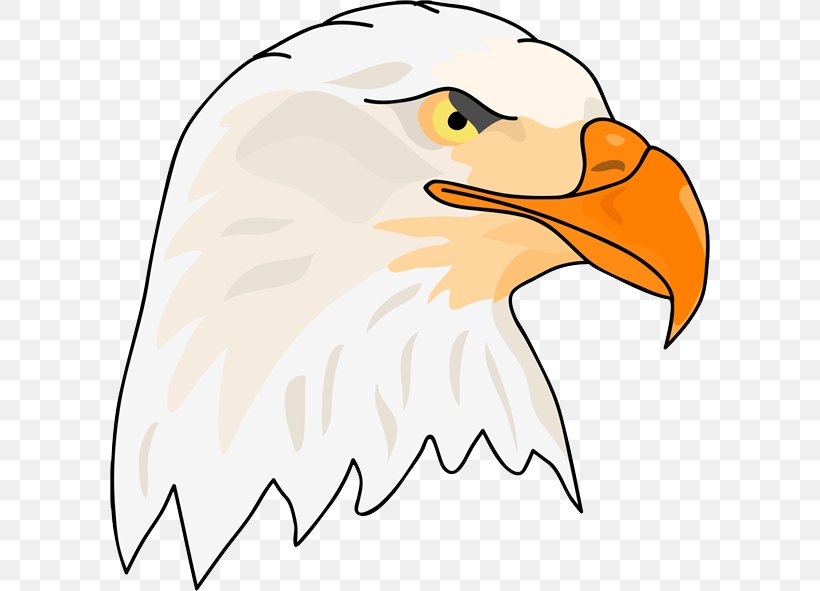 Bald Eagle Hawk, PNG, 600x591px, Bald Eagle, Artwork, Beak, Bird, Bird Of Prey Download Free