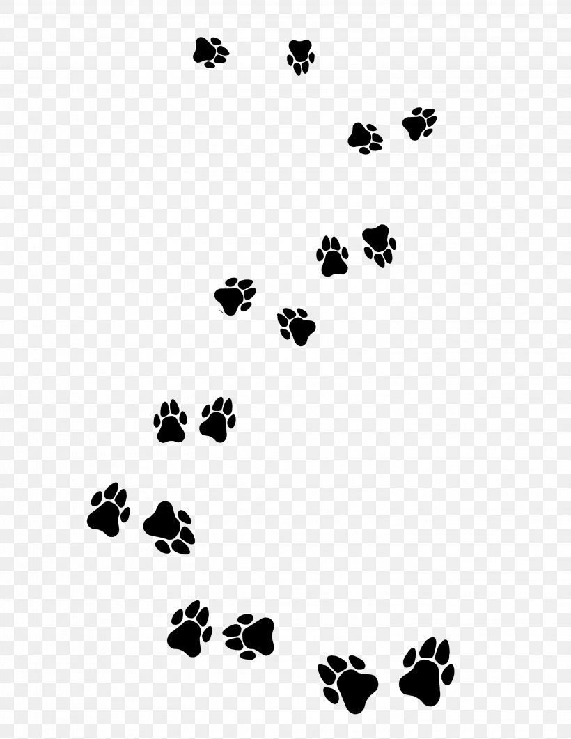 Central Asian Shepherd Dog Puppy Cat Paw, PNG, 2994x3875px, Central Asian Shepherd Dog, Animal Track, Black, Black And White, Cat Download Free