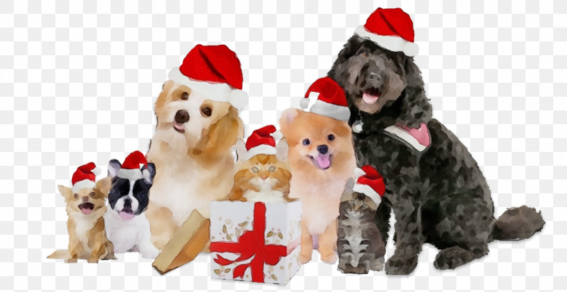 Christmas Ornament, PNG, 1096x566px, Watercolor, Breed, Christmas Day, Christmas Ornament, Companion Dog Download Free