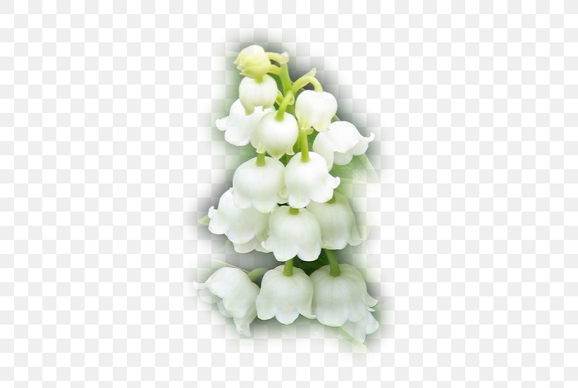 Animation Flower, PNG, 502x550px, Animation, Cut Flowers, Fairy, Flower, Flower Bouquet Download Free