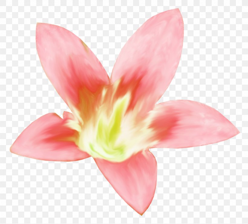 Art Painting Painter Clip Art, PNG, 1038x939px, Art, Amaryllis Belladonna, Blog, Fine Art, Flower Download Free