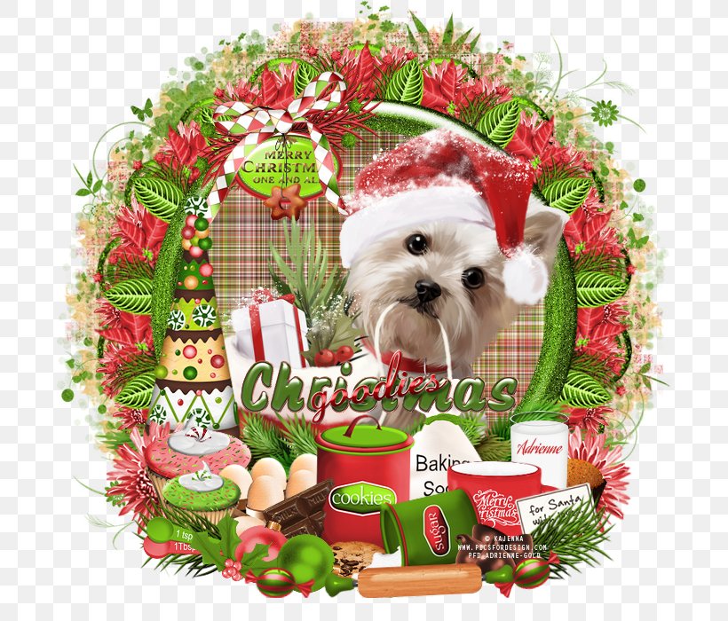 Dog Breed Shih Tzu Puppy Companion Dog Christmas Ornament, PNG, 700x700px, Dog Breed, Breed, Carnivoran, Christmas, Christmas Decoration Download Free
