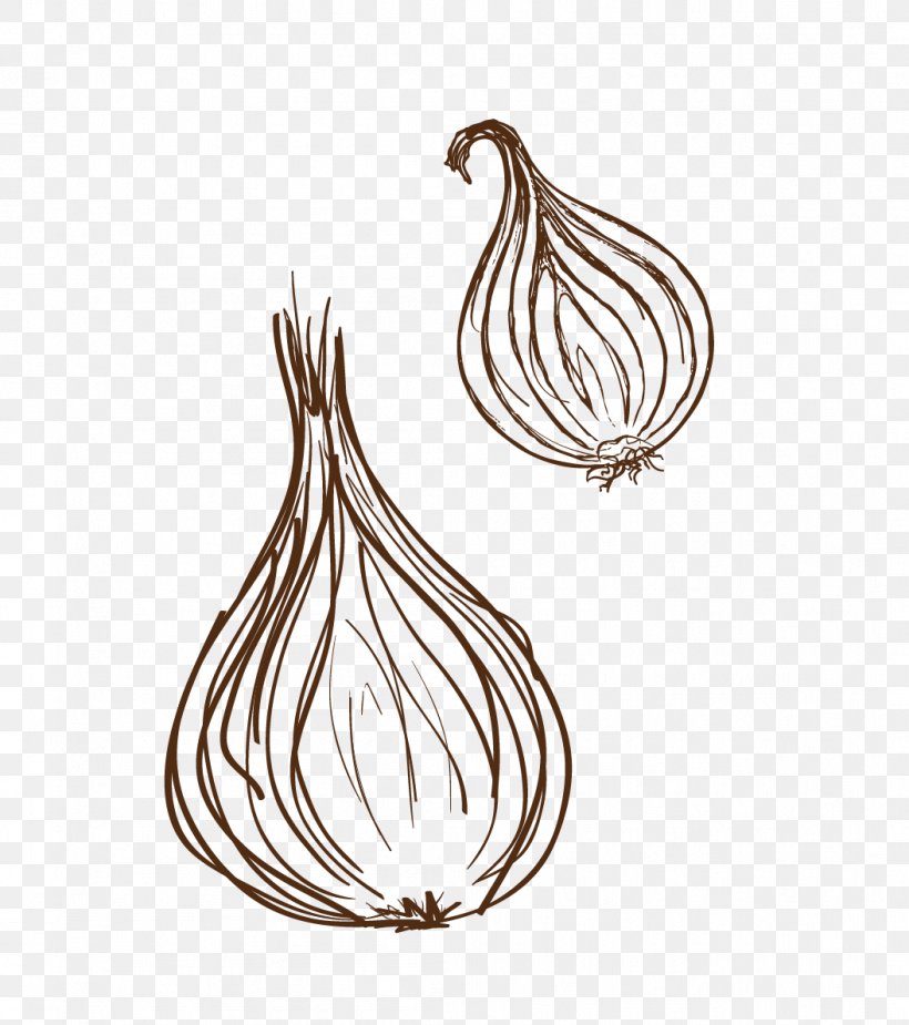 Garlic Onion Euclidean Vector Vegetable, PNG, 1054x1190px, Garlic, Google Images, Onion Download Free