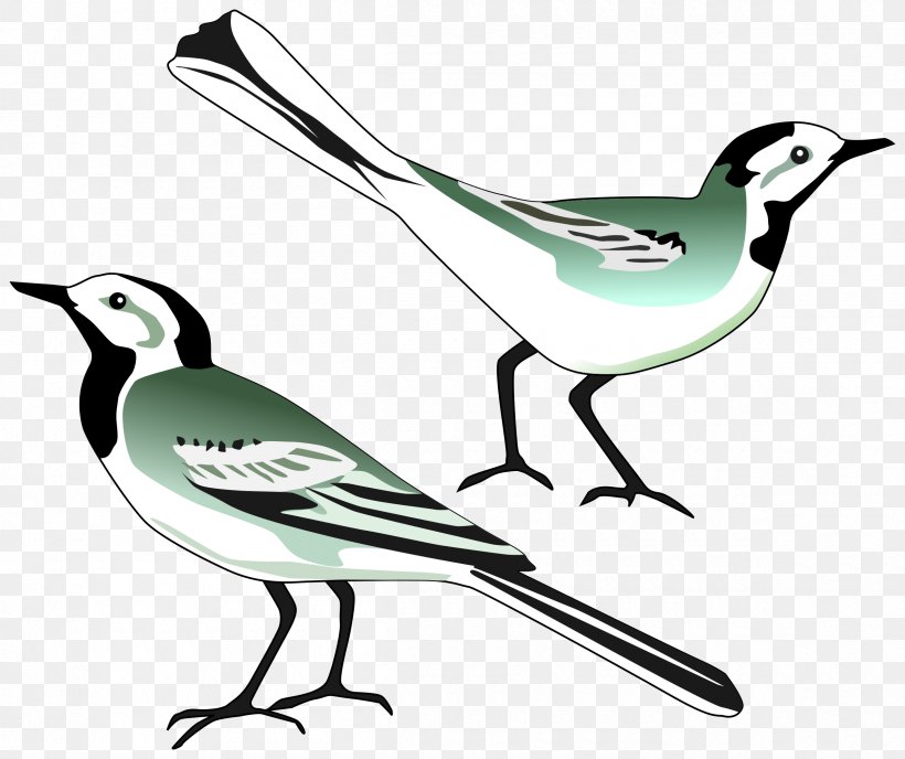 White Wagtail Download Clip Art, PNG, 2400x2014px, White Wagtail, Artwork, Beak, Bird, Black And White Download Free