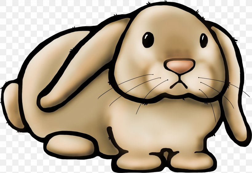 Domestic Rabbit Clip Art Teacher, PNG, 1600x1102px, Domestic Rabbit, Animal, Carnivoran, Cartoon, Chinese Zodiac Download Free