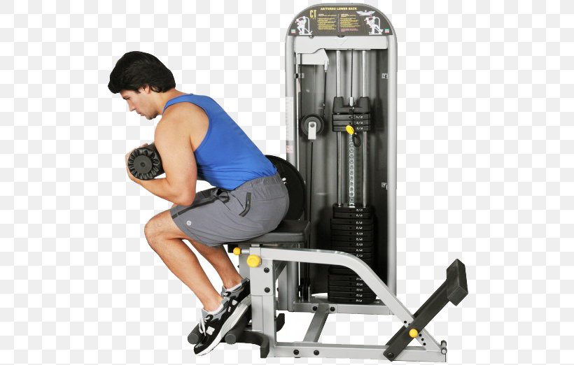 Exercise Machine Exercise Equipment Human Back Crunch, PNG, 522x522px, Exercise Machine, Abdominal Exercise, Arm, Crunch, Exercise Download Free