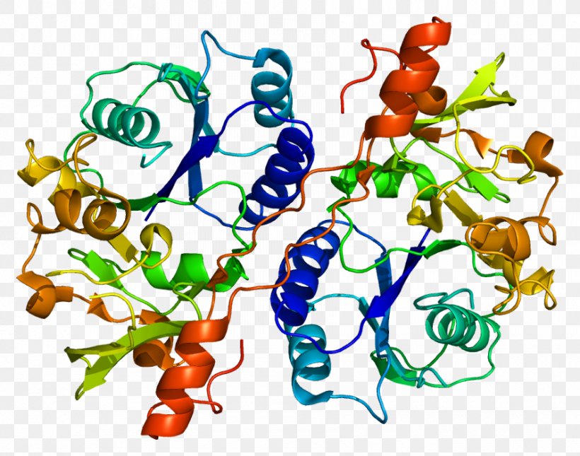 Glucuronosyltransferase B3GAT3 Protein Gene Enzyme, PNG, 890x701px, Watercolor, Cartoon, Flower, Frame, Heart Download Free
