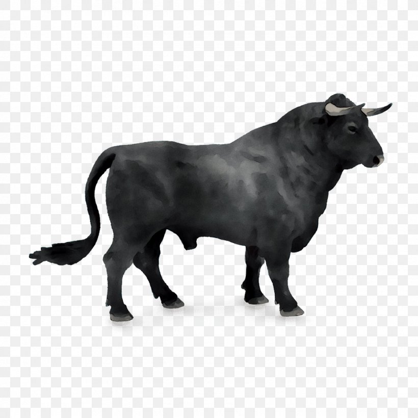 Spanish Fighting Bull Taurine Cattle Horn Symbol, PNG, 1126x1126px ...