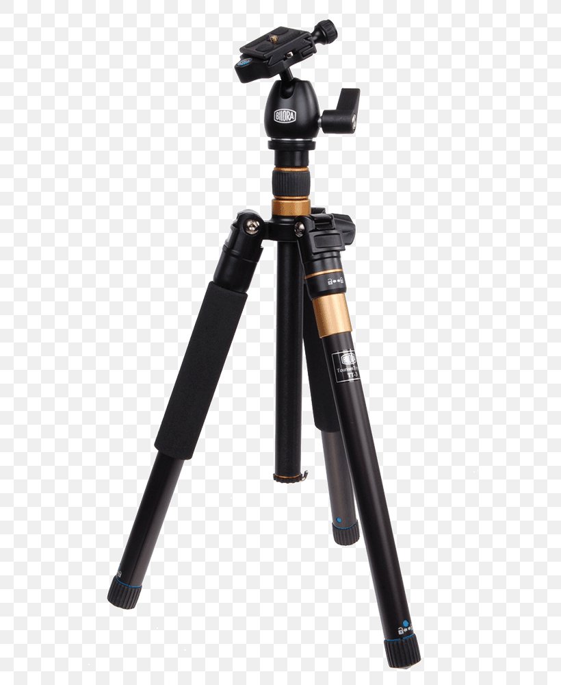 Tripod Bilora Travel Monopod Photography, PNG, 579x1000px, Tripod, Ball Head, Bilora, Camcorder, Camera Download Free