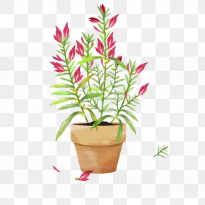 Green Plant Ornamental Bonsai - Beautiful Bonsai Flowerpot Ornamental Plant PNG