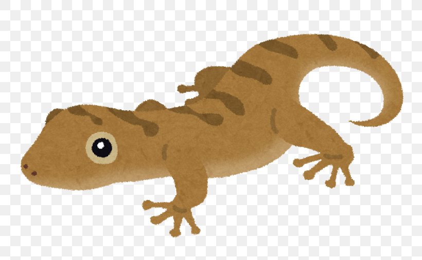 Lizard Schlegel's Japanese Gecko Japanese Fire Belly Newt Reptile Sauria, PNG, 800x507px, Lizard, Amphibian, Animal, Animal Figure, Common Leopard Gecko Download Free