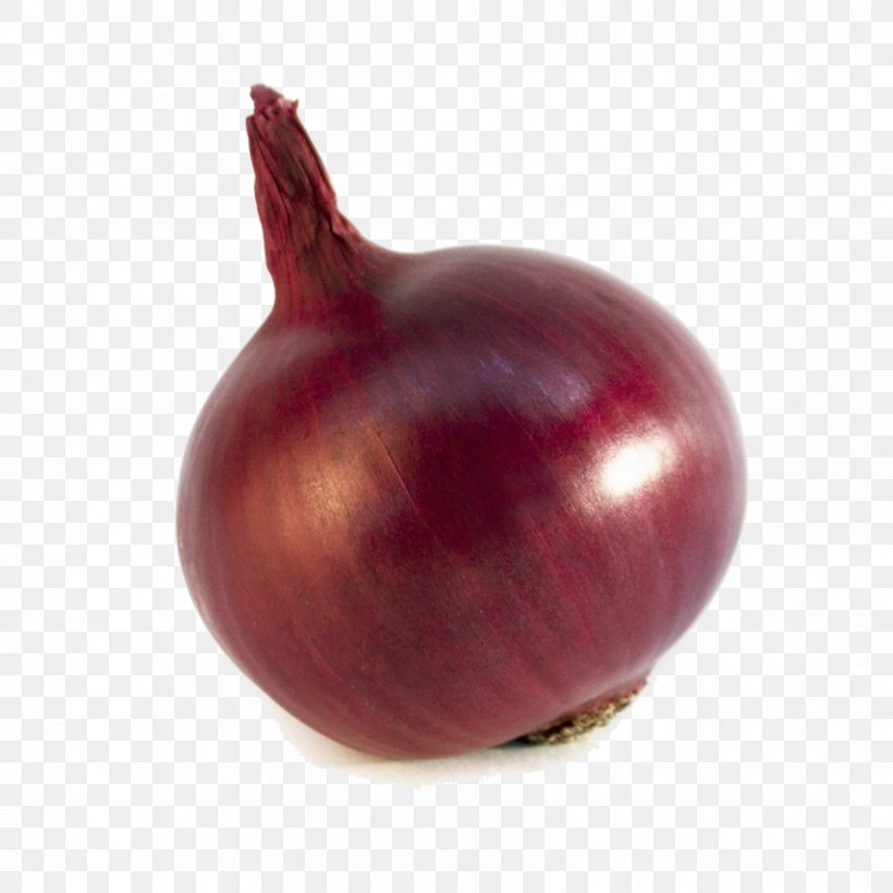 Shallot Vegetable Food Red Onion Fruit, PNG, 855x855px, Shallot, Beet, Bell Pepper, Eggplant, Food Download Free