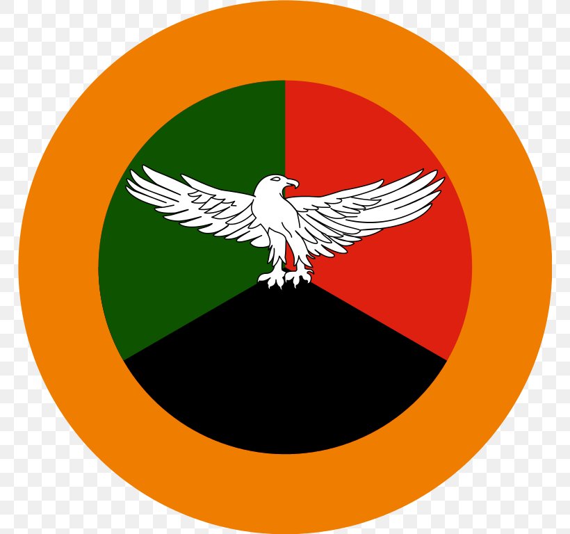 Zambian Air Force Roundel Zambian Defence Force Flag Of Zambia, PNG, 768x768px, Zambia, Air Force, Army, Coat Of Arms Of Zambia, Fictional Character Download Free