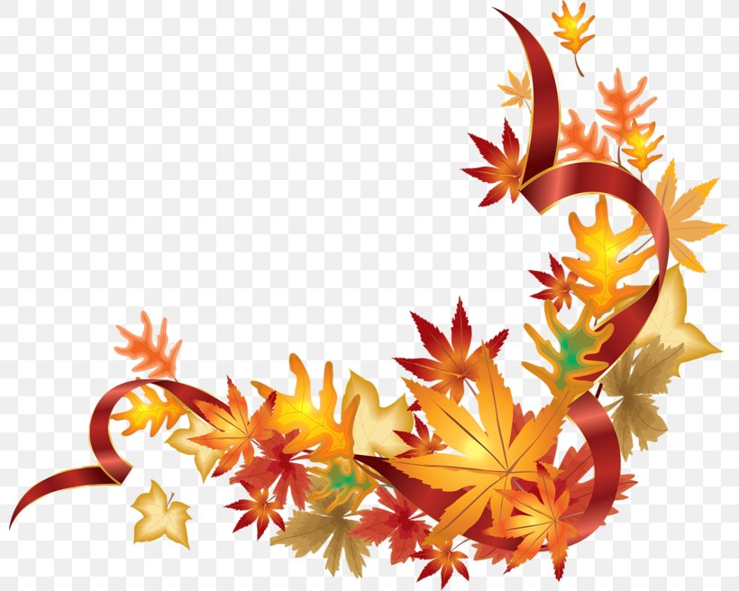 Autumn Leaf Color, PNG, 800x656px, Autumn Leaf Color, Autumn, Flora, Floral Design, Flower Download Free