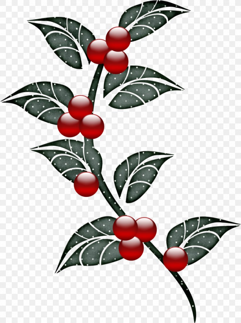 Common Holly Poinsettia Pin Christmas Day Aquifoliales, PNG, 919x1232px, Common Holly, Aquifoliaceae, Aquifoliales, Berry, Branch Download Free