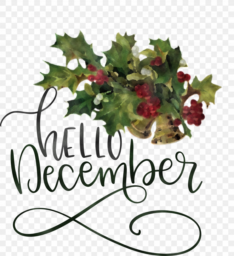 Hello December Winter December, PNG, 2751x3000px, Hello December, Aquifoliales, Christmas Day, Christmas Ornament, Christmas Ornament M Download Free