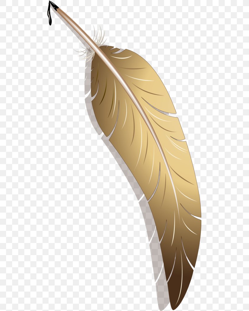 Quill Vector Graphics Paper Image, PNG, 507x1024px, Quill, Animation, Feather, Fictional Universe Of Harry Potter, Paper Download Free