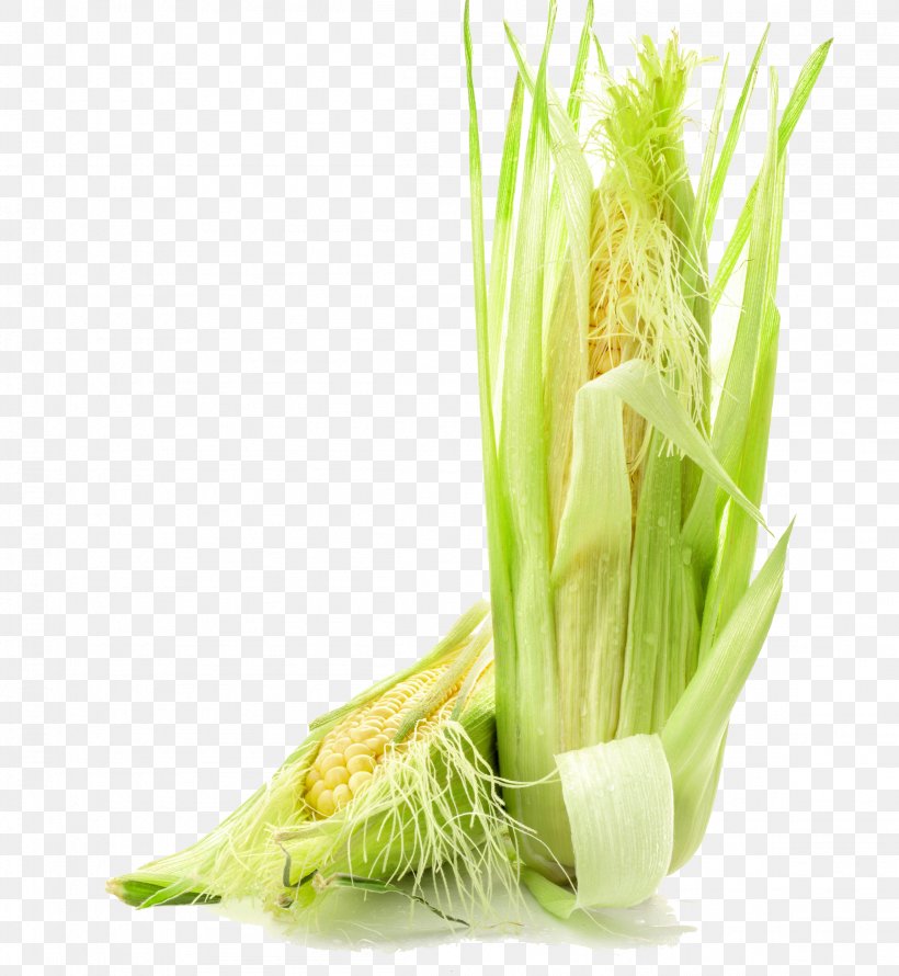 Waxy Corn Corn On The Cob Corn Kernel Vegetable, PNG, 2302x2500px, Waxy Corn, Auglis, Celery, Cereal, Commodity Download Free