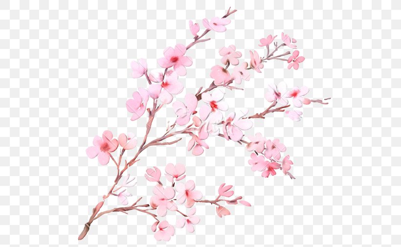Cherry Blossom Tree Drawing Png 550x505px Watercolor Art Blossom Branch Cherries Download Free