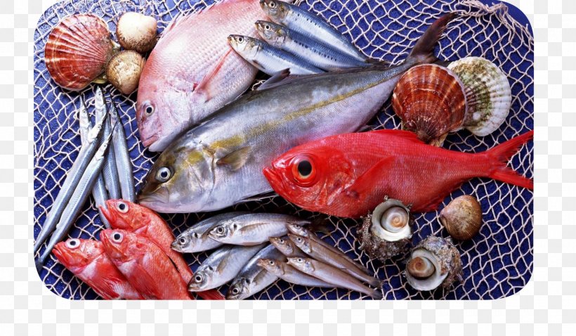 Fish Seafood Atlantic Salmon, PNG, 2000x1166px, Fish, Animal Source Foods, Atlantic Salmon, Cuisine, Fish Fillet Download Free