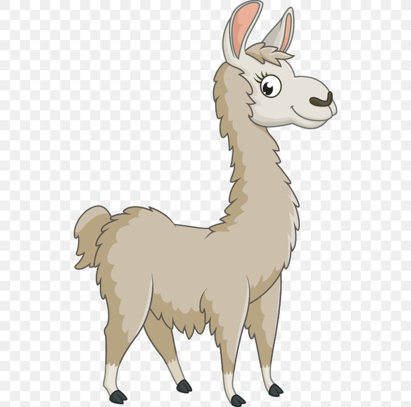 Llama, PNG, 526x812px, Llama, Alpaca, Camelid, Cartoon, Livestock Download Free