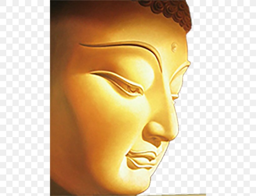 Shakya Buddhism Nirvana Bodhisattva, PNG, 500x629px, Shakya, Bodhisattva, Buddhism, Face, Forehead Download Free