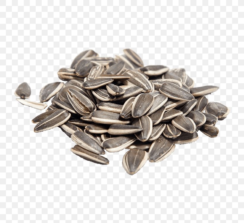 Sunflower Seed Common Sunflower Eating Food, PNG, 750x750px, Sunflower Seed, Common Sunflower, Eating, Food, Health Download Free