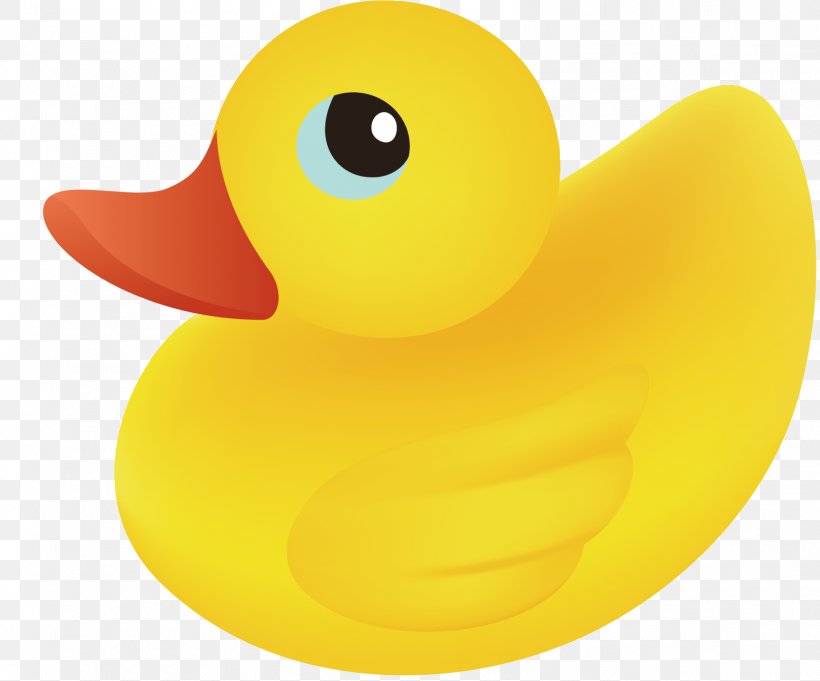 Duck, PNG, 1598x1329px, Duck, Beak, Bird, Computer Graphics, Ducks ...