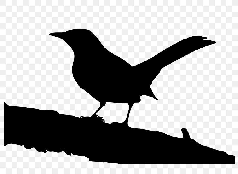 To Kill A Mockingbird Jean Louise 'Scout' Finch Clip Art, PNG, 800x600px, To Kill A Mockingbird, Beak, Bird, Black And White, Crow Download Free